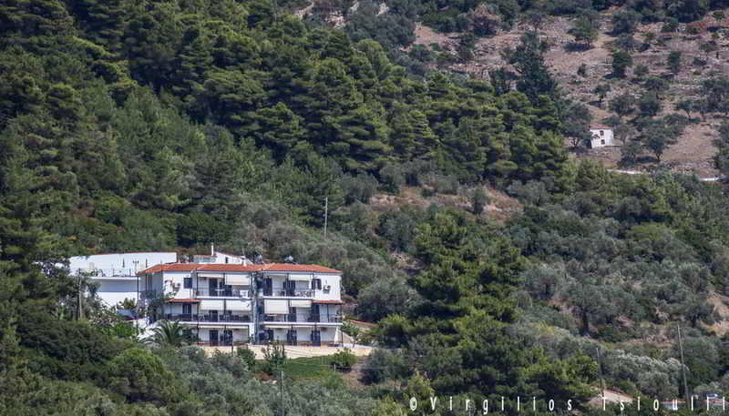 Aegeon Hotel Skopelos Extérieur photo